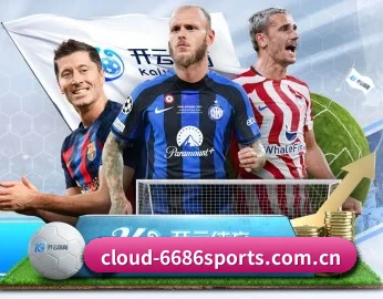6686体育 APP